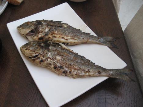 Ostern 061.jpg   21kb   26.03.2021 22:36:59
